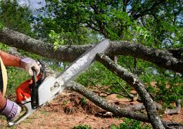 Best Lawn Grading and Leveling  in Yulee, FL