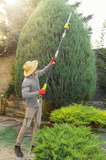 Best Commercial Tree Services  in Yulee, FL